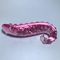 17.5*3.2cm Pink Hippocampus Glass Dildo Long Adults Sex  Toys