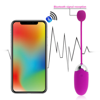 12 Frequency Wireless Vibrator Controlled By Phone