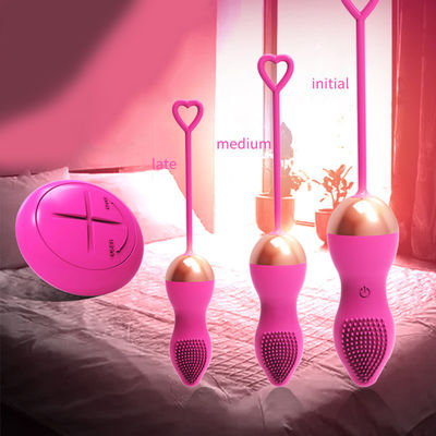 Rechargeable Vaginal Tighten Vibrating Kegel Egg